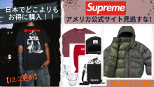 【本物保証 /関税・送料無料】Supreme Stripe Applique Satin Appliqué Hooded Sweatshirt | Supreme 24fw