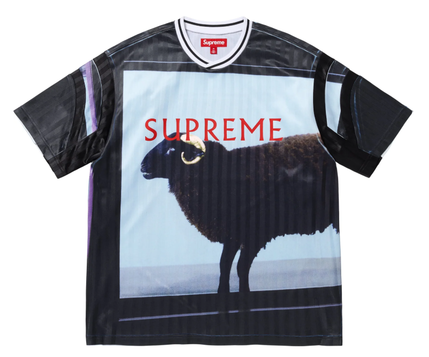 Supreme×Damien Hirst 2025SS