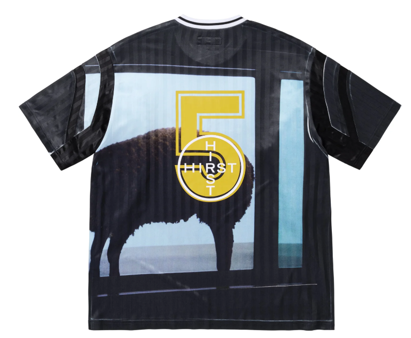 Supreme×Damien Hirst 2025SS